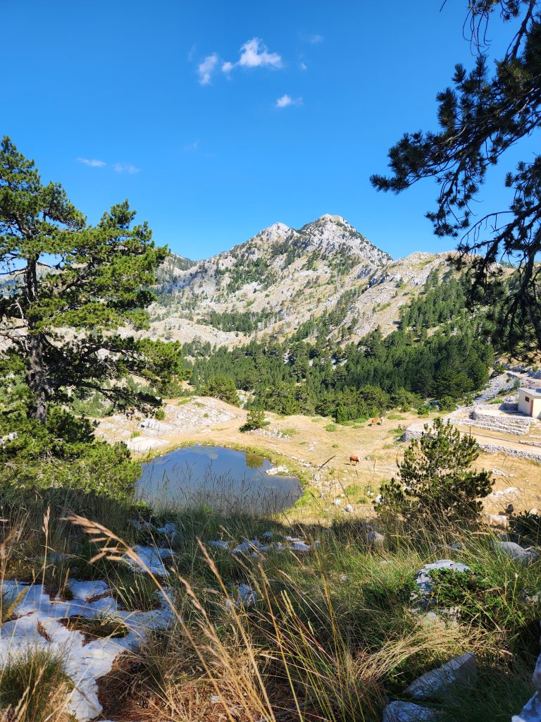 Boka Outdoor Adventures