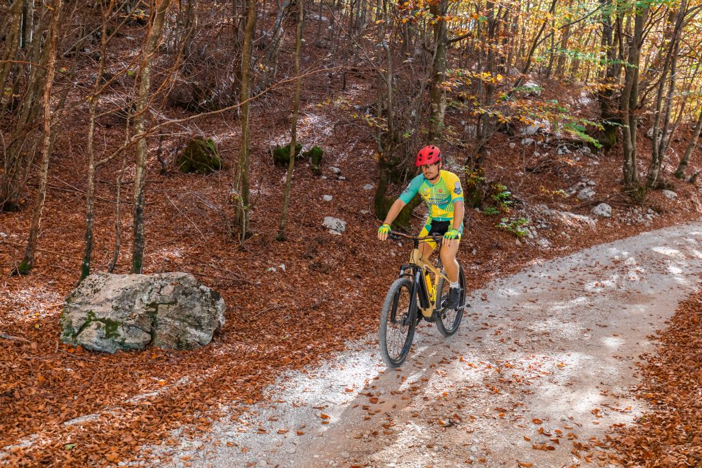 Marshall's trail