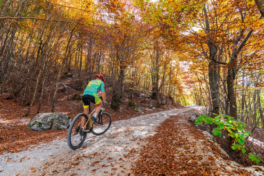 Marshall's trail